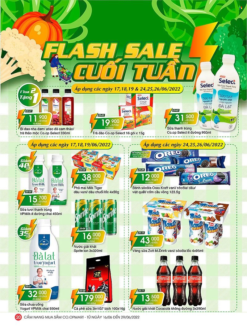 <retailer> - <MM.DD.YYYY - MM.DD.YYYY> - Sales products - ,<products from flyers>. Page 20.